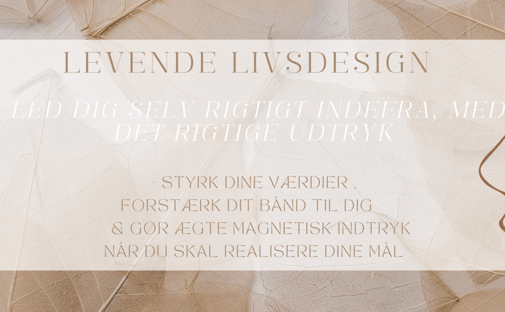 cover facebook 3 dage webinar (10)